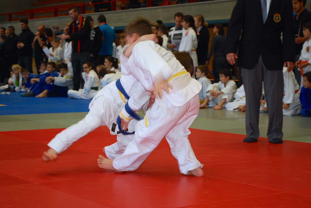 JUDO Bodenseemeisterschaft 2014 - 07