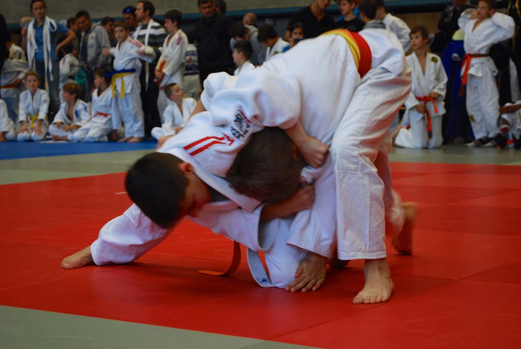 JUDO Bodenseemeisterschaft 2014 - 13