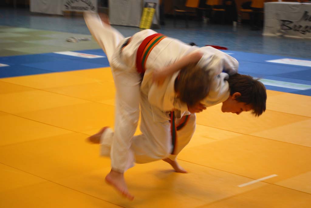 JUDO Bodenseemeisterschaft 2014 - 39