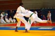 JUDO Bodenseemeisterschaft 2014 - 24